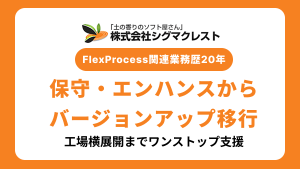 FlexProcess関連業務に延べ20年。保守・エンハンスからバージョンアップ移行、工場横展開までワンストップ支援
